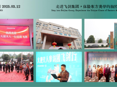 短视频平台运营规则(短视频平台建设运营)