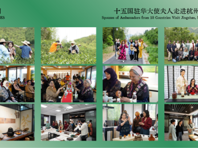 短视频运营的核心是什么(短视频运营的核心是什么意思)