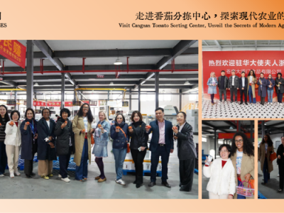 剪辑培训班一般学费多少宁波(学剪辑的培训班)