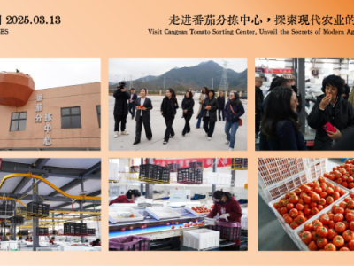 视频运营岗位职责和任职要求(视频运营专员是做什么的)