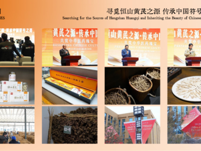 想学短视频运营哪里学比较好(想做短视频运营从哪里入手)