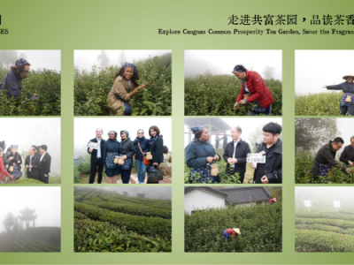 一个新手怎么做电商(一个新手怎么做电商需要几个人)