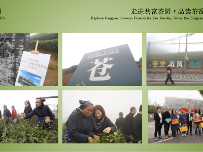 短视频运营培训学费多少(短视频培训平台排行榜)